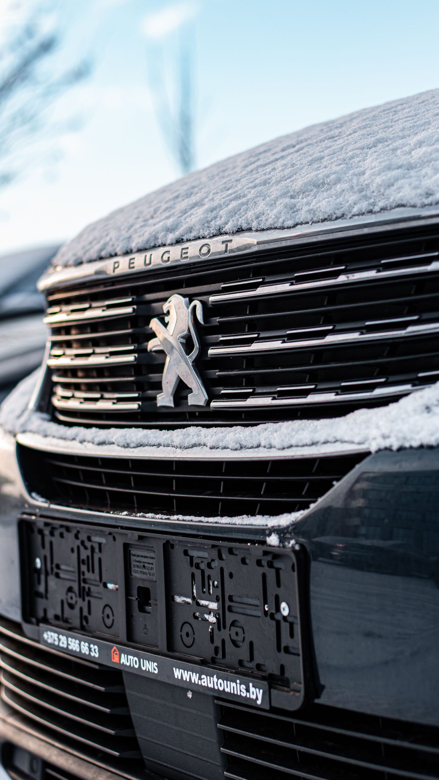 Peugeot Rifter 2026 exterior